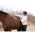 horse relax magnet therapy roller stick